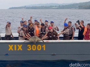 Polairud Sulteng Lepasliarkan 23 Penyu Sisik Hijau Hasil Tangkapan Nelayan