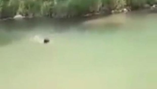 Seorang remaja berinisial IJ (15) tewas tenggelam di Sungai Tangka, Tombolo Pao, Gowa, Sulawesi Selatan (Sulsel).