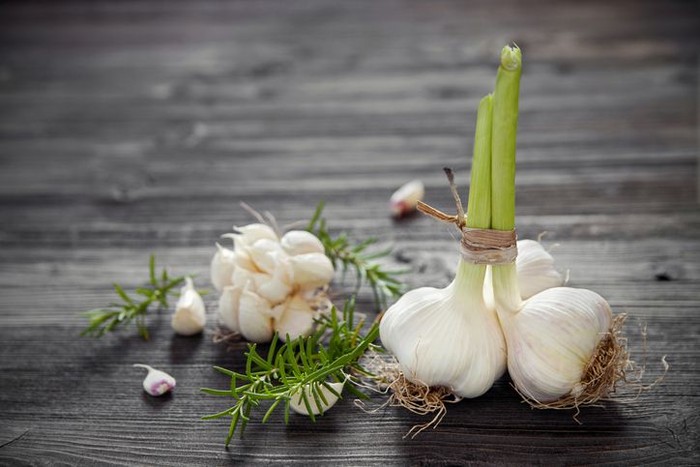 Cara menanam bawang putih. Foto: iStock Cara menanam bawang putih. Foto: iStock
