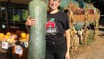 Wow! 10 Buah dan Sayur Berukuran Jumbo Ini Bikin Takjub