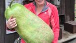 Wow! 10 Buah dan Sayur Berukuran Jumbo Ini Bikin Takjub