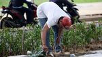 Skate Park hingga Ruang Seni Dibangun di Kolong JLNT Casablanca