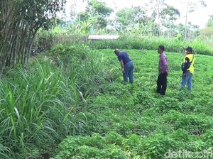 Tanah Terbelah 300 Meter di Pasuruan Dilaporkan ke Pemprov Jatim
