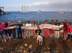 8 Misteri dari Lautan yang Bikin Ilmuwan Penasaran