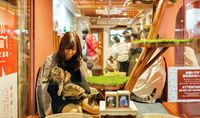 Hotel Kapsul Kucing Baru di Jepang
