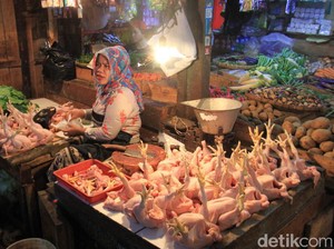 Momen Nataru, Harga Ayam Naik dan Waspada Makanan Zat Kimia
