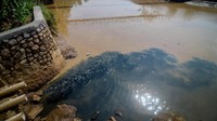 Limbah berwarna hitam nampak mencemari Sungai Citarum yang berada di kawasan Dayeuhkolot, Kabupaten Bandung, Jawa Barat, Rabu (11/12/2019).