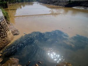 Duh, Lagi-lagi Aliran Sungai Citarum Tercemar Limbah