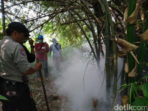 Sudah 34 ekor kobra ditemukan di Royal Citayam
