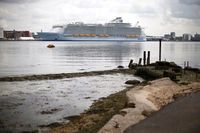 Ekspektasi Vs Realita Naik Kapal Pesiar