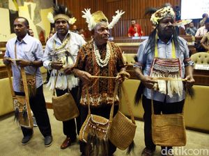 Bupati dan Tokoh Adat Bahas Pemekaran Papua di Komisi II