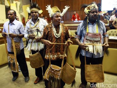 Bupati dan Tokoh Adat Bahas Pemekaran Papua di Komisi II