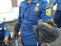 Ular jali ditemukan di halaman rumah warga.