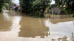 Korban Banjir di Kabupaten Lima Puluh Kota Dievakuasi