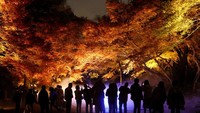 Begini indahnya salah satu pemandangan musim gugur di kawasan Taman Rikugien, Distrik Bunkyo, Tokyo, Jepang.