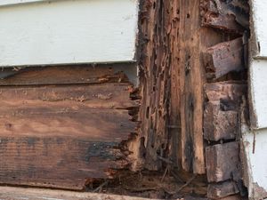 Hati-Hati! Ini 6 Tanda Perabotan Kayu di Rumah Digerogoti Rayap