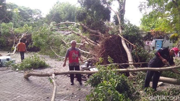 Porak Poranda Diterjang Puting Beliung Umbul Pengging