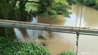 Eceng gondok menutupi aliran Sungai Cimanuk sepanjang 700 meter. Diperkirakan ada 9 ton eceng gondok yang menutupi aliran Sungai Cimanuk.