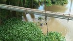 Ribuan Kilo Eceng Gondok di Sungai Cimanuk Dibersihkan