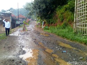 Jalan Rusak di Sindangkerta Bandung Ditanami Pohon Pisang