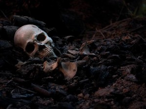Tengkorak Papua Dijual Ilegal di Eropa?