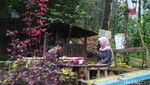 Potret Hutan Pinus Puncak Jahim, Segar dan Cantik!
