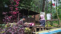 Puncak jahim menjadi tempat yang cocok untuk melepas lelah setelah perjalanan jauh. Karena selain teduh, juga memiliki udara yang masih sejuk dan dingin meski pada siang hari. (Dadang Hermansyah /detikcom)