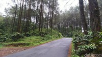 Puncak Jahim berada di daerah perbatasan tepatnya di Jalan Raya Sukamantri, Ciamis-Majalengka, Jawa Barat. Jalan ini juga digunakan sebagai jalur alternatif warga Ciamis dan Tasikmalaya menuju Cirebon dan sekitarnya. (Dadang Hermansyah /detikcom)