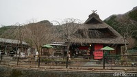 Desa ini berada di Fujikawaguchiko, kota dengan view Gunung Fuji yang berada di Prefektur Yamanashi. Jaraknya dari Kota Tokyo sekitar 2 jam dengan kendaraan roda empat. (Syanti/detikcom)