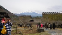 Adapun yang menjadi daya tarik utamanya adalah rumah-rumah berkonsep sangat tradisional Jepang dan pemandangan Gunung Fuji. (Syanti/detikcom)