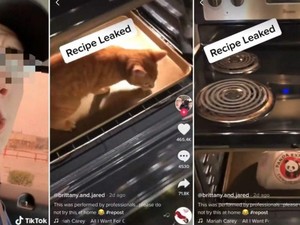 Unggah Video Kucing Dimasukkan ke Microwave di Tik Tok, Pria Ini Dihujat Netizen