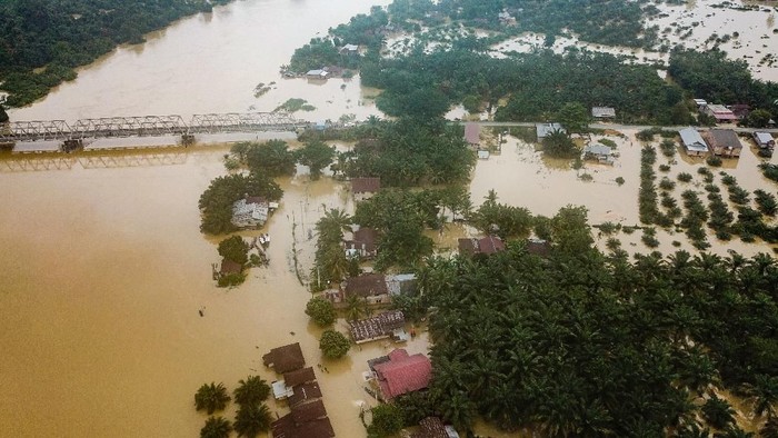 Banjir di Riau (Foto: Antara Foto/FB Anggoro)