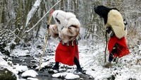Setidaknya ada sekitar 40 orang bertopeng dengan kostum dari bulu domba yang memeriahkan perayaan ini (Reuters).