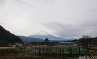 View Gunung Fuji (Syanti/detikcom)
