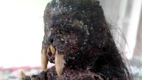 Warga Desa Bagolo, Kecamatan Kalipucang, Kabupaten Pangandaran, heboh oleh penemuan jenglot atau sebagian orang menyebutnya Batara Karang. Foto: Istimewa.
