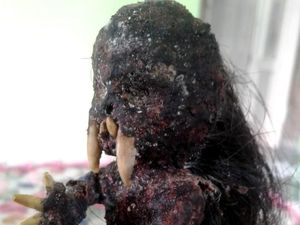 Ini Dia Jenglot yang Buat Geger Warga Pangandaran