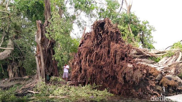 Wisata Air Di Dekat Umbul Ponggok Klaten Rusak Dihantam Lisus