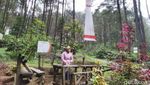 Potret Hutan Pinus Puncak Jahim, Segar dan Cantik!