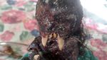 Ini Dia Jenglot yang Buat Geger Warga Pangandaran