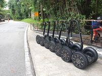 Jelajah Singapura dengan Cara Beda, Penasaran?