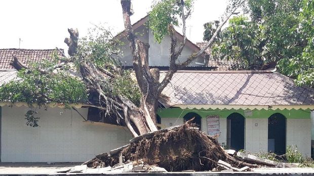 Umbul Pengging Boyolali Besok Buka Lagi Usai Diterjang Puting Beliung