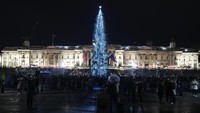 Pohon Natal Norwegia berdiri tegak dengan ornamen lampu berwarna biru di kawasan Trafalgar Square, London, Inggris. AP Photo/Alastair Grant.