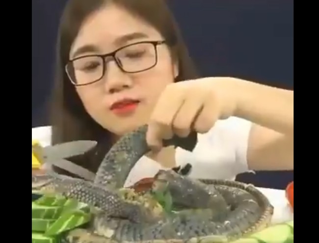 Teror Ular Kobra, 5 Orang Ini Malah Santai Makan Daging Kobra