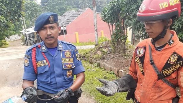 Anak ular kobra di Citayam Village, Kabupaten Bogor