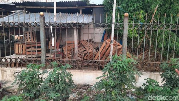 Pedagang Dipatuk Ular, Warga Duga Sarang Ada di Lahan Kosong Dekat Pasar