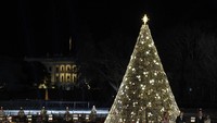 Washington juga punya pohon Natal yang megah. Pohon ini menjadi pohon Natal Nasional Amerika Serikat lho. AP Photo/Susan Walsh.