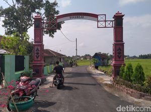 Ngeri! Ada Kobra Naik ke Kasur Warga di Klaten