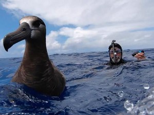 Profil Samudra Terbesar di Dunia, Luasnya Capai Sepertiga Permukaan Bumi