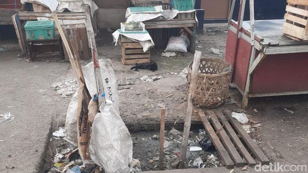 Dipatuk Anak Kobra, Pedagang Sayur di Depok Dilarikan ke RS
