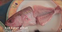 Bukan Sushi, YouTuber Kocak Ini Review Ikan Mentah Sampai Muntah